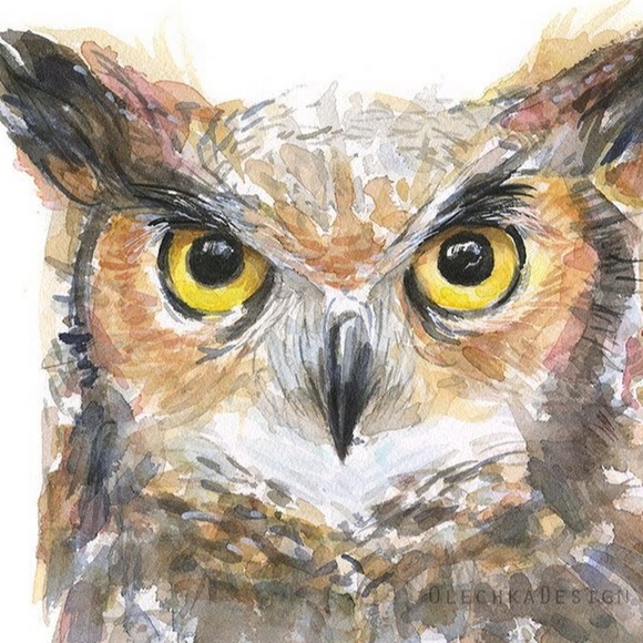 owl4